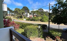 Pinamar departamento